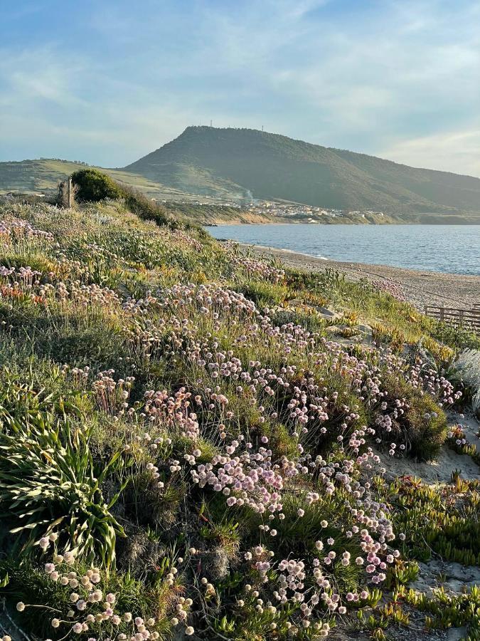 Zaffiro Casa Vacanze Al Mare Valledoria Kültér fotó