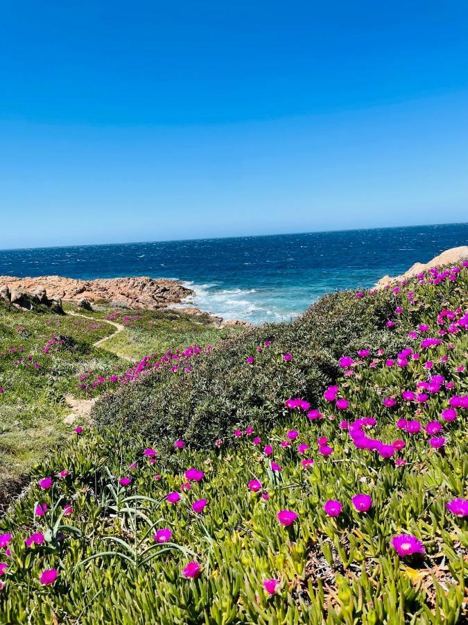 Zaffiro Casa Vacanze Al Mare Valledoria Kültér fotó