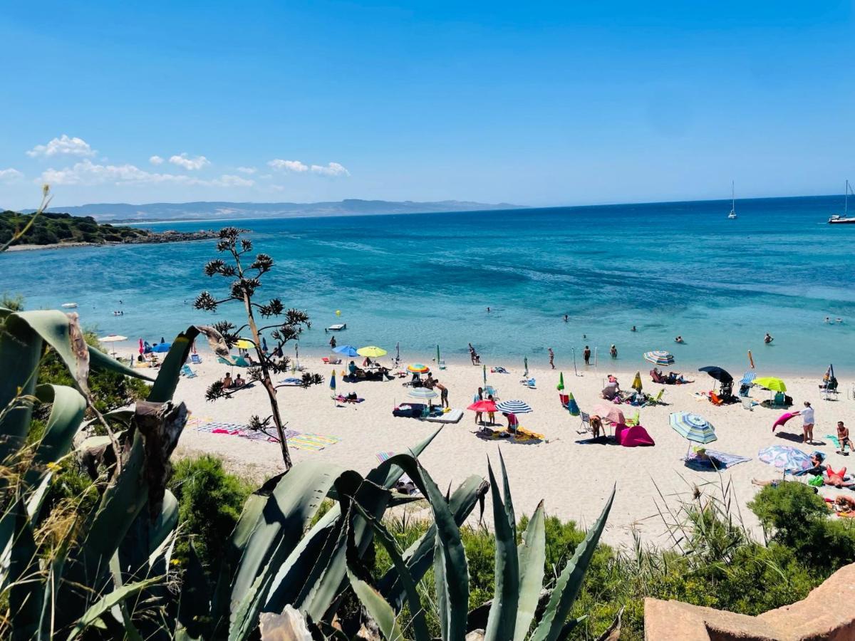 Zaffiro Casa Vacanze Al Mare Valledoria Kültér fotó