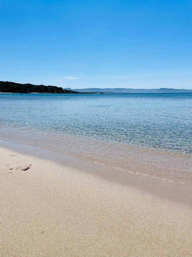 Zaffiro Casa Vacanze Al Mare Valledoria Kültér fotó